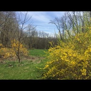 🍃🍃🍃🍃🍃🍃🍃🍃🍃🍃🍃🍃